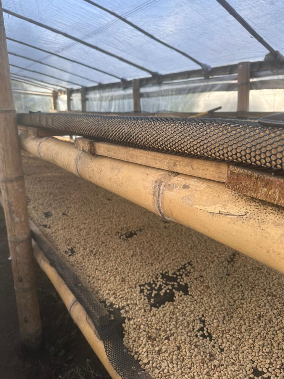 Drying beds